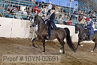 10yn-02691 thumbnail