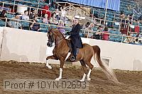 10yn-02693 thumbnail