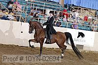 10yn-02694 thumbnail
