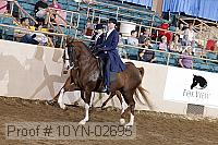 10yn-02695 thumbnail