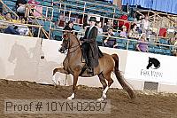 10yn-02697 thumbnail