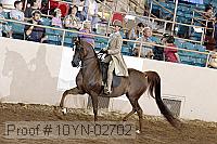 10yn-02702 thumbnail