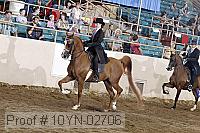 10yn-02706 thumbnail