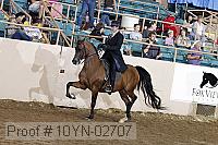 10yn-02707 thumbnail