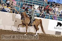 10yn-02710 thumbnail