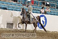 10yn-02748 thumbnail