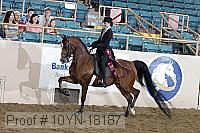 10yn-18187 thumbnail