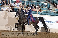 10yn-18198 thumbnail