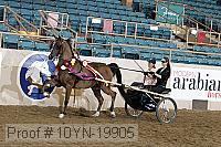 10yn-19905 thumbnail