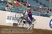 10yn-16410 thumbnail