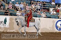 10yn-12831 thumbnail