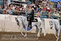 10yn-16589 thumbnail