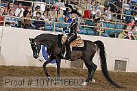 10yn-16602 thumbnail