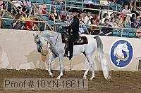 10yn-16611 thumbnail