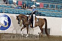 10yn-16624 thumbnail
