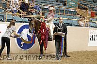 10yn-24256 thumbnail