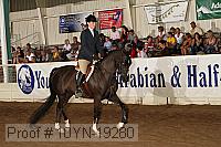 10yn-19280 thumbnail