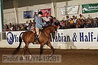 10yn-19281 thumbnail