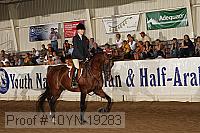 10yn-19283 thumbnail