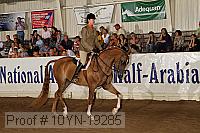 10yn-19285 thumbnail