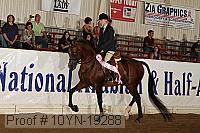 10yn-19288 thumbnail