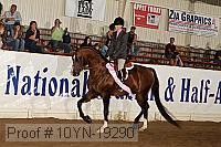 10yn-19290 thumbnail