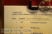 10yn-19294 thumbnail