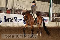 10yn-19295 thumbnail