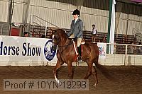 10yn-19298 thumbnail