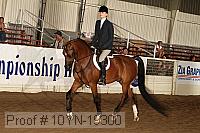 10yn-19300 thumbnail