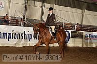 10yn-19301 thumbnail