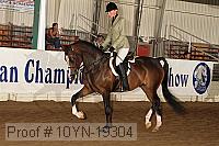 10yn-19304 thumbnail