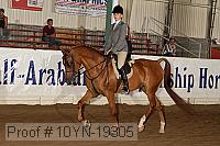 10yn-19305 thumbnail