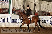 10yn-19306 thumbnail