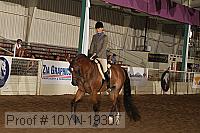 10yn-19307 thumbnail