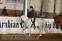 10yn-19308 thumbnail