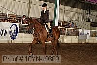 10yn-19309 thumbnail