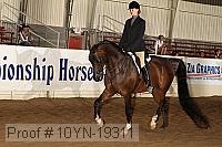 10yn-19311 thumbnail