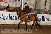10yn-19313 thumbnail