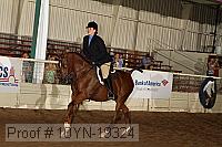 10yn-19324 thumbnail