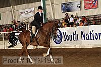 10yn-19328 thumbnail