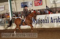 10yn-19332 thumbnail