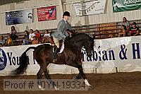 10yn-19334 thumbnail