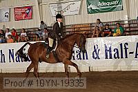 10yn-19335 thumbnail