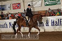 10yn-19336 thumbnail