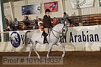 10yn-19337 thumbnail