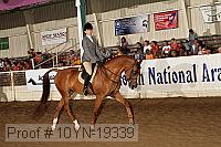 10yn-19339 thumbnail