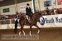 10yn-19342 thumbnail