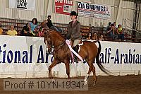 10yn-19347 thumbnail
