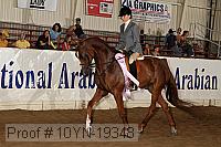 10yn-19348 thumbnail